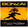 BONZAI SUMMER BOOST HERBAL INCENSE