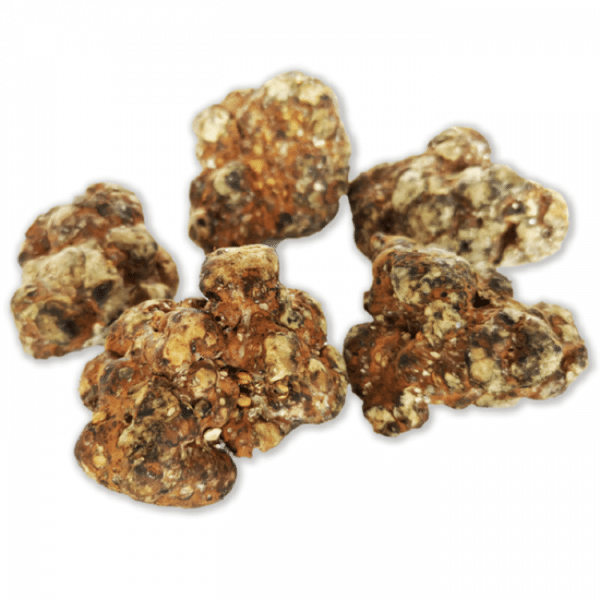 Magic Truffles Atlantis 250 grams at Cheap Price | Legal Hemp Online